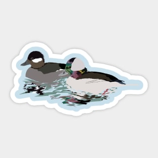Bufflehead Ducks Pair Sticker